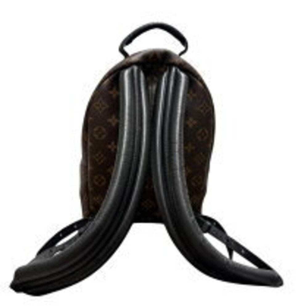 Louis Vuitton Palm Springs Backpack Monogram Daypack - Picture 2 of 9